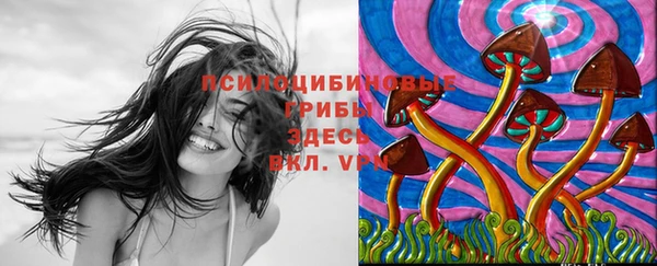 марки lsd Балахна